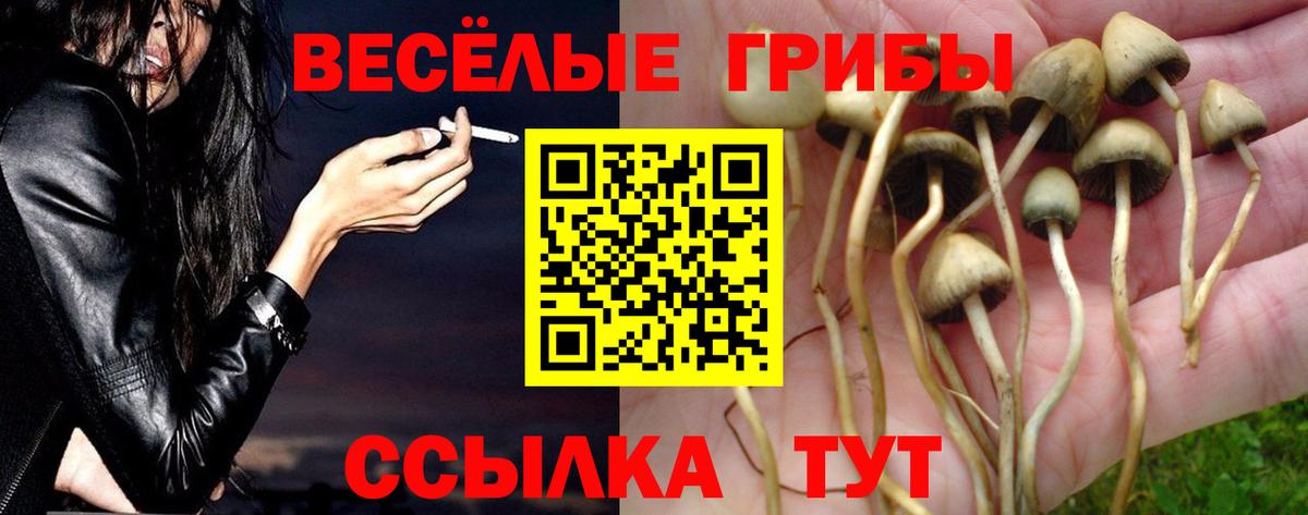 Галлюциногенные грибы мицелий  Псилоцибиновые грибы Psilocybine cubensis  Вход с VPN  Мелеуз 